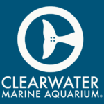 Clearwater Marine Aquarium